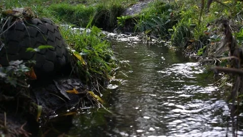 Wild water stream Stock Footage 151118105