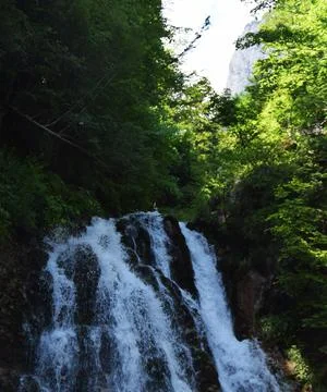 A wild waterfall in the forest Stock Photos