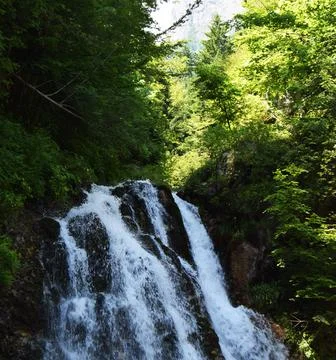 A wild waterfall in the forest Stock Photos