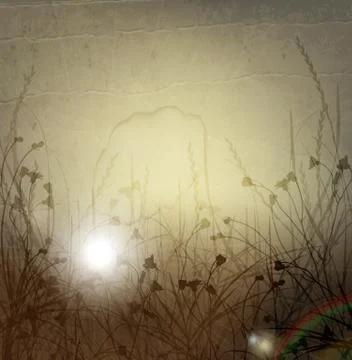 Wild weeds Stock Illustration