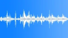 Wild West Desert Birds - Western Meadowlarks in the MorningSound Effect