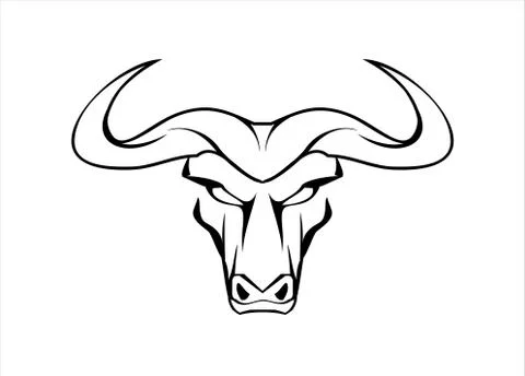 Wild White Bull Stock Illustration