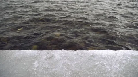Wild winter river flows Stock Footage 49710868