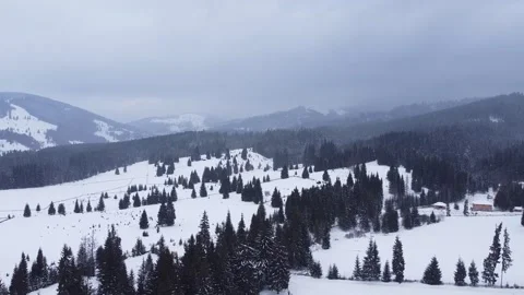 Wild Winter At Sunset In Mountains Video stock 170069800