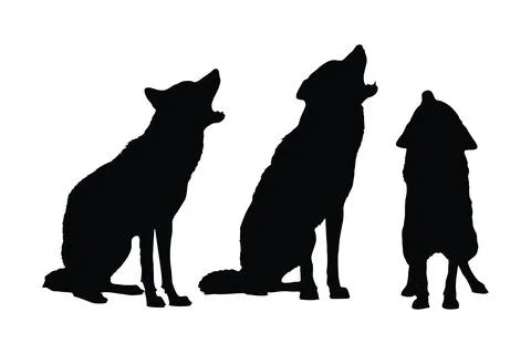 Wild wolves sitting and howling in different positions. Wolf full body silh.. イラスト素材