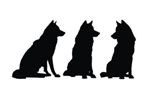 Wild wolves sitting in different positions. Wolf full body silhouette colle.. 스톡 일러스트
