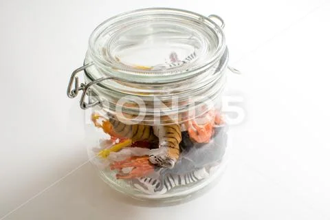 Wild zoo animals escaping captivity concept of safari animals in a jar Stock Photos