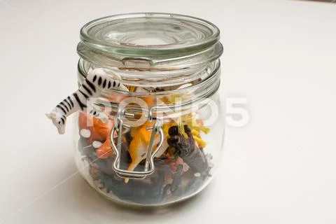 Wild zoo animals escaping captivity concept of safari animals in a jar Stock Photos