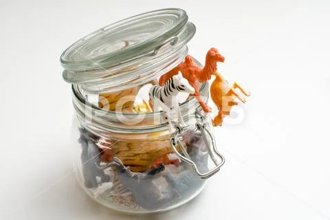 Wild zoo animals escaping captivity concept of safari animals in a jar Stock Photos
