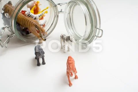 Wild zoo animals escaping captivity concept of safari animals in a jar Stock Photos