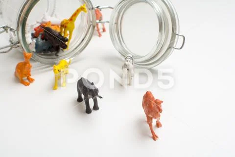 Wild zoo animals escaping captivity concept of safari animals in a jar Stock Photos