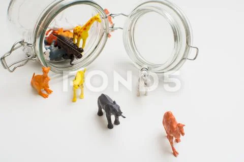 Wild zoo animals escaping captivity concept of safari animals in a jar Stock Photos
