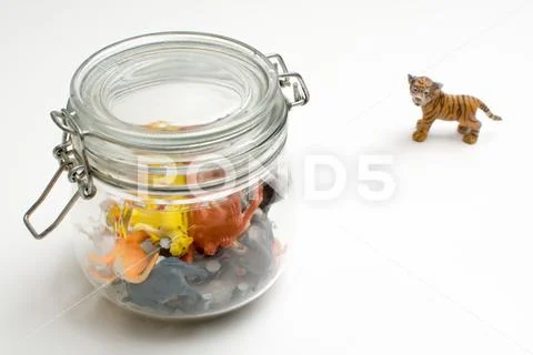 Wild zoo animals escaping captivity concept of safari animals in a jar Stock Photos