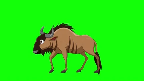 Wildbeest walk animation Stock Footage 201278514