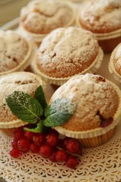Wildberries muffins  Stock Photos