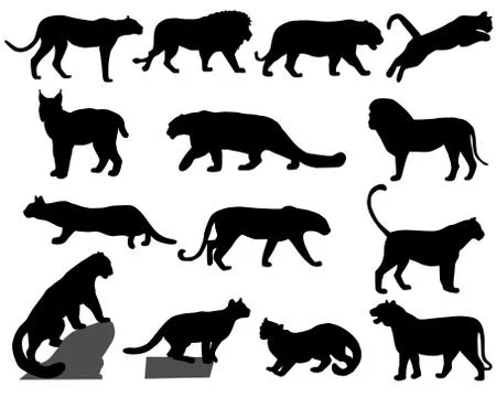 Wildcats Illustrazione stock