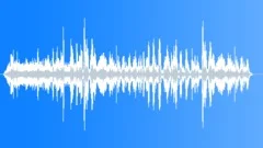 Wildebeest Adult CU NBSound Effect