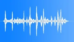 Wildebeest Adults Bcu NBSound Effect