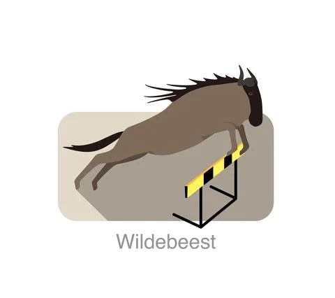 Wildebeest jumping cross hurdle , vector illustration Stock Illustration