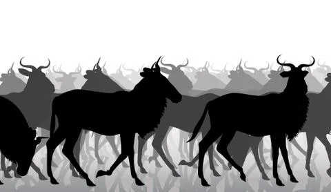 Wildebeest migration Stock Illustration
