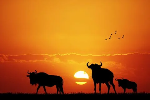 Wildebeest at sunset Illustrazione stock