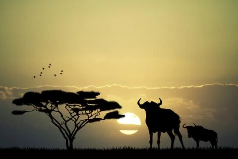 Wildebest silhouette Stock-Illustration