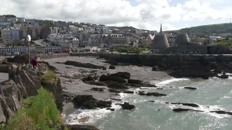 Wilder Beach Video stock 65261940