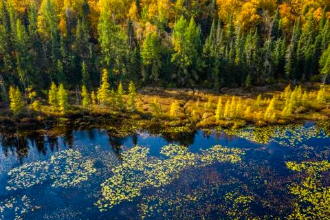 Wilderness from above Stock Photos