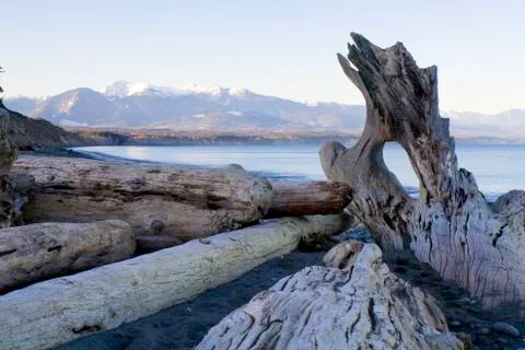 Wilderness beach Stock Photos
