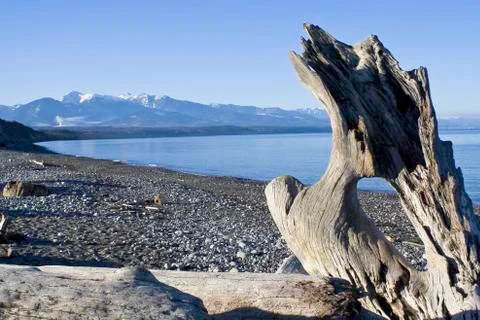 Wilderness beach Stock Photos