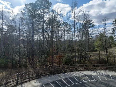 Wilderness Bordered by Asphalt Stock Photos