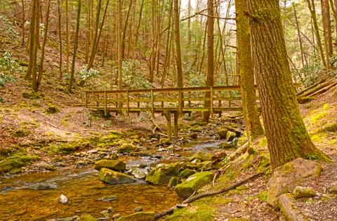 Wilderness Bridge on a Forest trail Stockfoto's