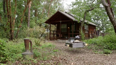 Wilderness Cabin with Hovercar - VFX Vídeo Stock 72966247