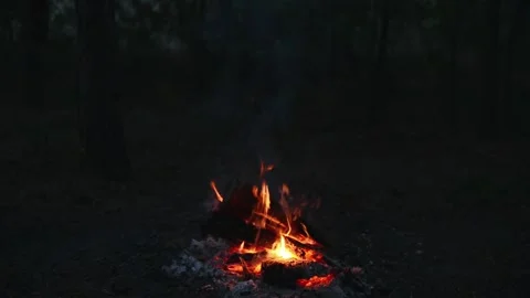 Wilderness Campfire Flames and Glowing Embers at Dusk 스톡 동영상 344746594