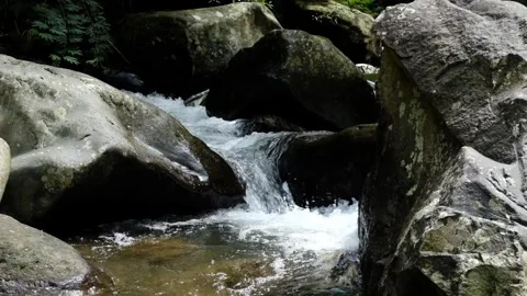 Wilderness Cascade Fresh Water Flows Over Dark Rocks in a Shady Forest Stream Stock Footage 323778807