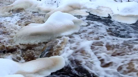 Wilderness concerned Stock Footage 46273439