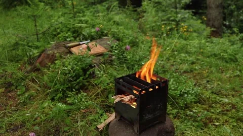 Wilderness Cooking: Open Fire Roasting Stock Footage 265385465