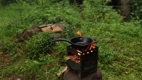 Wilderness Cooking: Open Fire Roasting Stock Footage 265385483