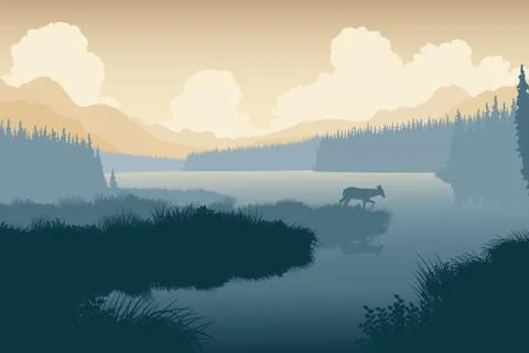 Wilderness deer Stock Illustration