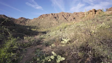 Wilderness desert at West Gate Pass Road at Tucson Mountain Park, AZ Stock Footage 212849254