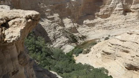 The wilderness of Ein Avdat in the Negev district in southern Israel 스톡 동영상 11848085