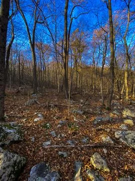 Wilderness in the fall with rocks and trees Stock Photos
