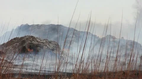 WILDERNESS FIRE Stock Footage 10795339