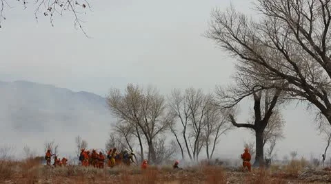WILDERNESS FIREFIGHTERS 2 Stock Footage 10795179