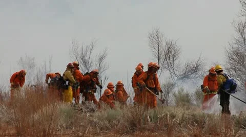 WILDERNESS FIREFIGHTERS 3 Stock Footage 10788006