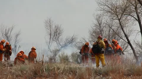 WILDERNESS FIREFIGHTERS 4 Stock Footage 10787989