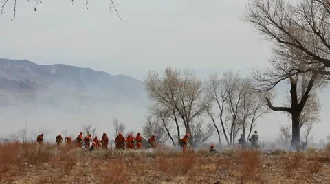 WILDERNESS FIREFIGHTERS 5 Stock Footage 10787852