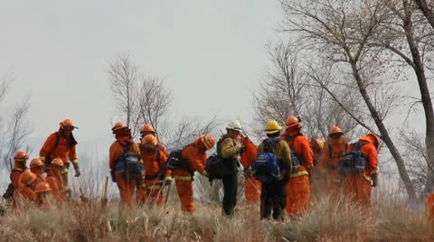 WILDERNESS FIREFIGHTERS Stock Footage 10795230