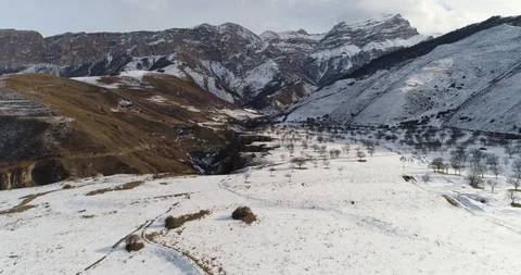 Into the wilderness Video stock 85663383