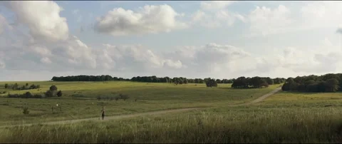 Wilderness Stock Footage 154629372